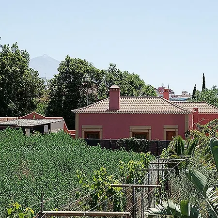 Nice House In Large Avocado Garden, Tenerife North タコロンテ