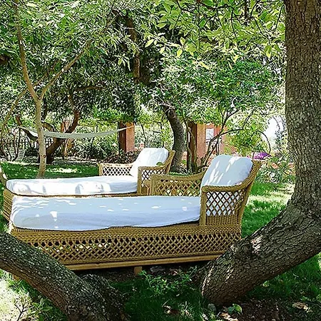 Nice House In Large Avocado Garden, Tenerife North * タコロンテ