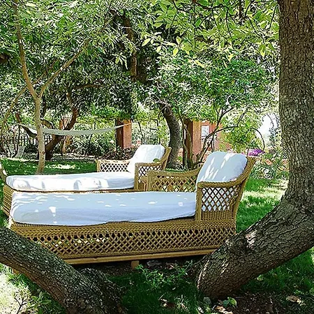Nice House In Large Avocado Garden, Tenerife North * Tacoronte