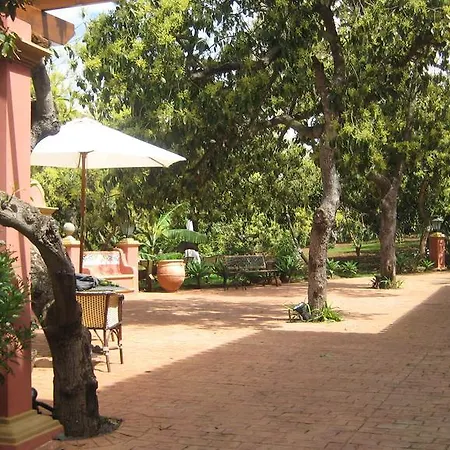 Nice House In Large Avocado Garden, Tenerife North タコロンテ