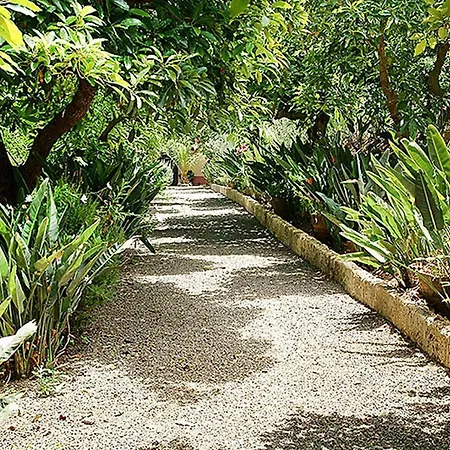 Nice House In Large Avocado Garden, Tenerife North タコロンテ